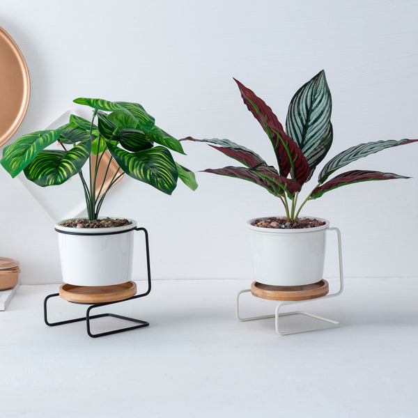 Modern Geometric Ceramic Plant Pot